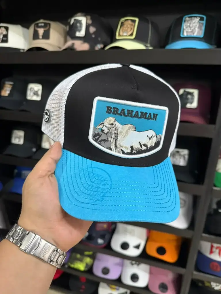 Ranch Corral Brahaman azul
