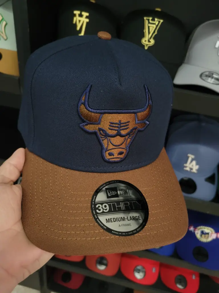 9forty Chicago Bulls 